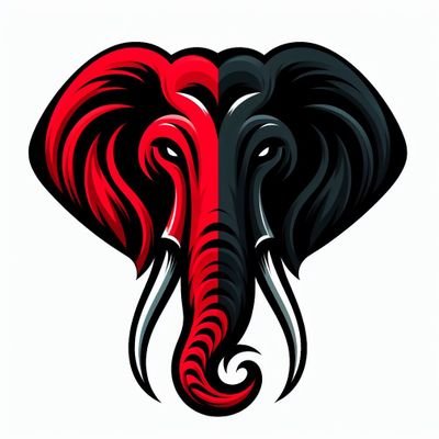 AlegriaRojineg1's profile picture
