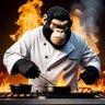 Profilbild von Stove Ape