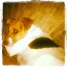 CAROLINA's profile picture