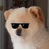 たんこぶ profil fotoğrafı