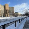 Фото профиля Hanlin Tao