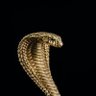 Фото профиля Cobra