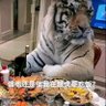 一张小床不下岗 的头像