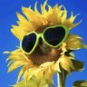 ๐ฉ๐ช๐ปBlรผmchen ๐ป๐ฉ๐ช's profile picture