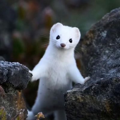 biong_1002's profile picture