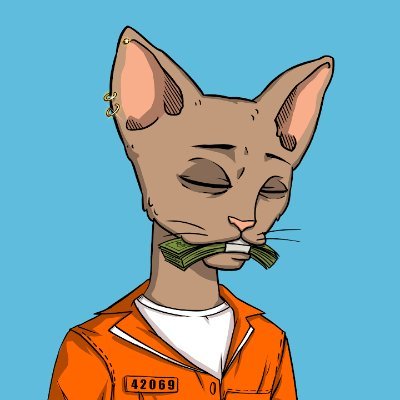 virginianuez1's profile picture