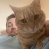 RobSharpe's profile picture