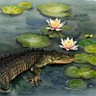 MoatCrocodile#4 的头像