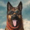 ドンガバチョ's profile picture