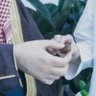 محمد الحربي's profile picture