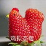 天圆敬仙 的头像