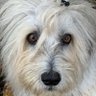 Beaver Spit's profile picture