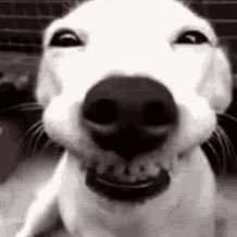28392535I's profile picture