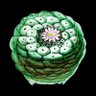 Carl E. Miller's profile picture