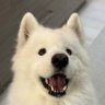 bgstech.bsky.social's profile picture