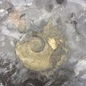 Seadragonseeker 的头像
