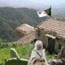 Chikhe.Z❤️🇩🇿💪🇩🇿 profil fotoğrafı