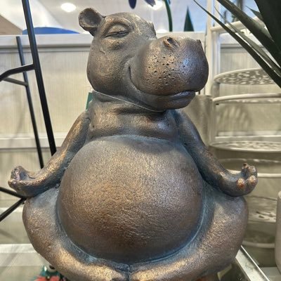 BubblesHippo5's profile picture