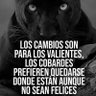Sergio Bermudez 的头像