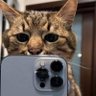 GuinhoDagomei@'s profile picture