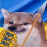 Eestlane Metsas.'s profile picture