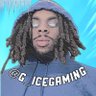 G_icegaming profil fotoğrafı