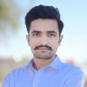 Profilbild von Raghuveer Singh Rajpurohit