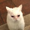 Profilbild von yon