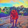 Night Thoughts's profile picture