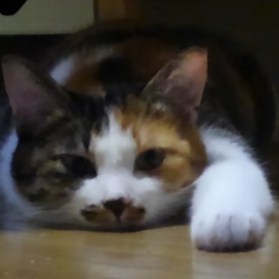 ubbcOJyt9db88Z5's profile picture