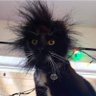 LUPPO HAZRETLERİ profil fotoğrafı