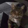 Profilbild von Calbefor
