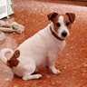 Roby7475491 profil fotoğrafı