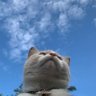 Rü 的头像