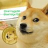 Profilbild von 三马哥(在币安与我确认)