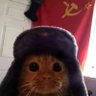 victhor's profile picture