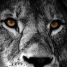 ZachWachira ™ profil fotoğrafı