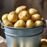 Profilbild von Ведро с картошкой