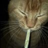 Man Like Tari profil fotoğrafı