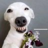 Phillm36's profile picture