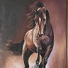 asjad baloch's profile picture