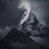 Mayflower's profile picture