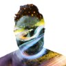 Edward Graham profil fotoğrafı