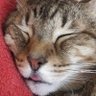 RenTheWitch's profile picture