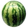 sandia 的头像