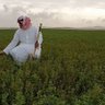 سحير 的头像