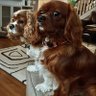 Just Larry's profile picture