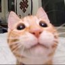 Profilbild von BUGjustBUG
