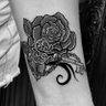 Фото профиля freitas