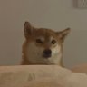 icy's profile picture